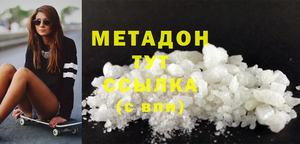 прущие грибы Медвежьегорск