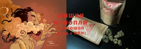 прущие грибы Медвежьегорск