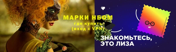прущие грибы Медвежьегорск