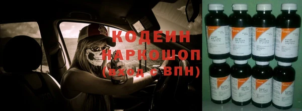 прущие грибы Медвежьегорск