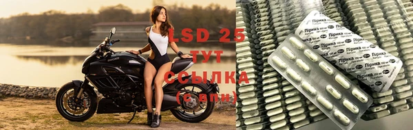 скорость Бикин